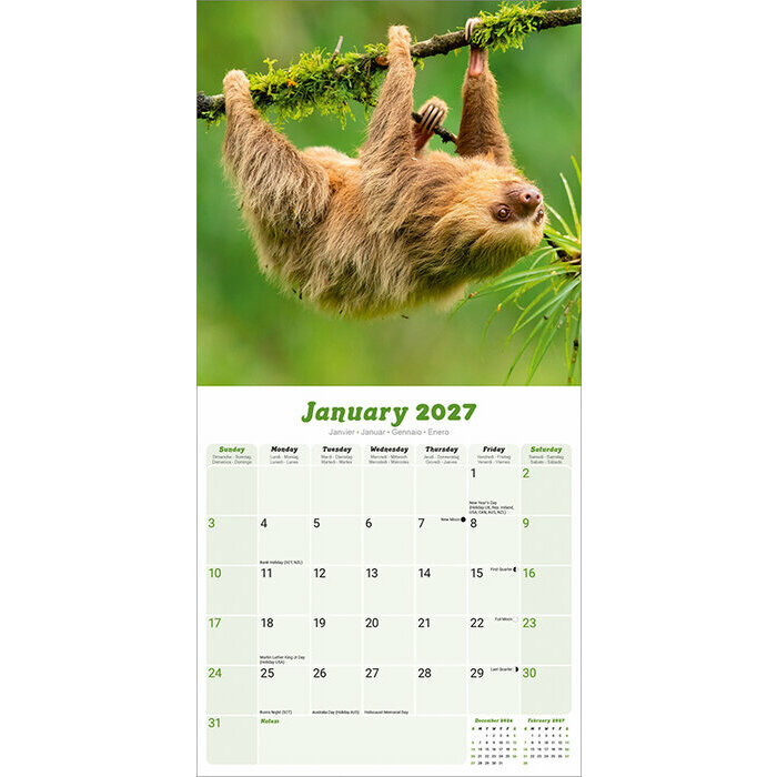 Calendrier 2027 Paresseux Calendrier 2027 Paresseux