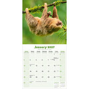 Calendrier 2027 Paresseux Calendrier 2027 Paresseux