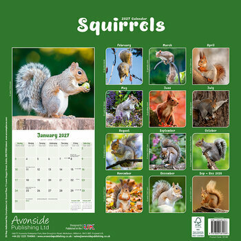 Calendrier 2027 Ecureuil