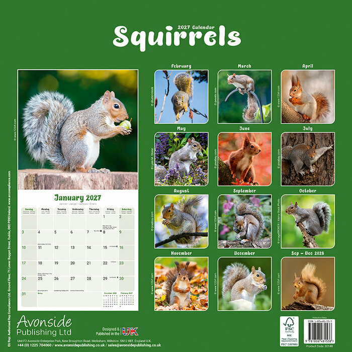 Calendrier 2027 Ecureuil Calendrier papier 2027 ecureuil