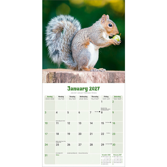 Calendrier 2027 Ecureuil Calendrier 2027 ecureuil