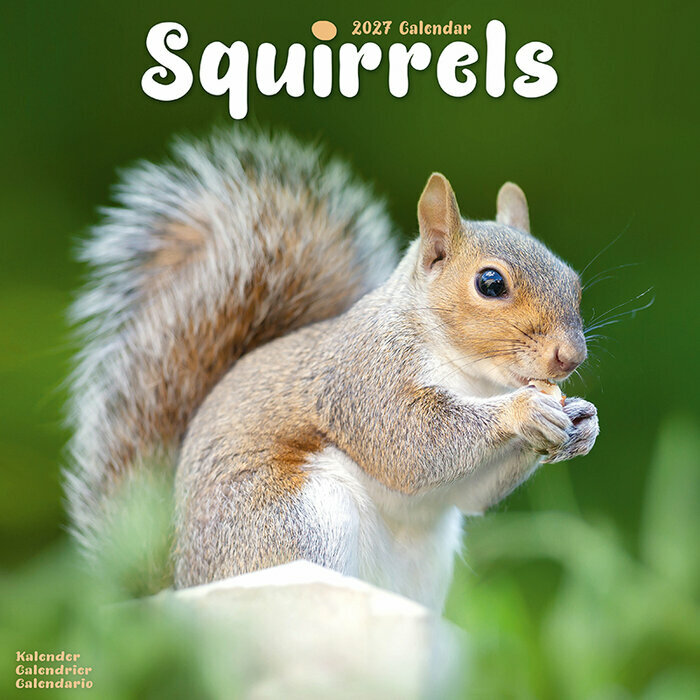 Calendrier 2027 Ecureuil Calendrier Mural 2027 ecureuil