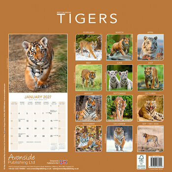 Calendrier 2027 Tigre