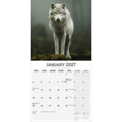 Calendrier 2027 Loup Calendrier 2027 Loup sauvage