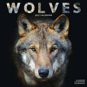 Calendrier 2027 Loup Calendrier 2027 mural Loup neige