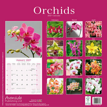 Calendrier 2027 Fleurs Orchid&eacute;es