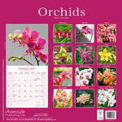 Calendrier 2027 Fleurs Orchidées Calendrier 2027 papier Orchidée Phalaenopsisi