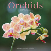 Calendrier 2027 Fleurs Orchidées Calendrier 2027 mural Orchidée Phalaenopsisi