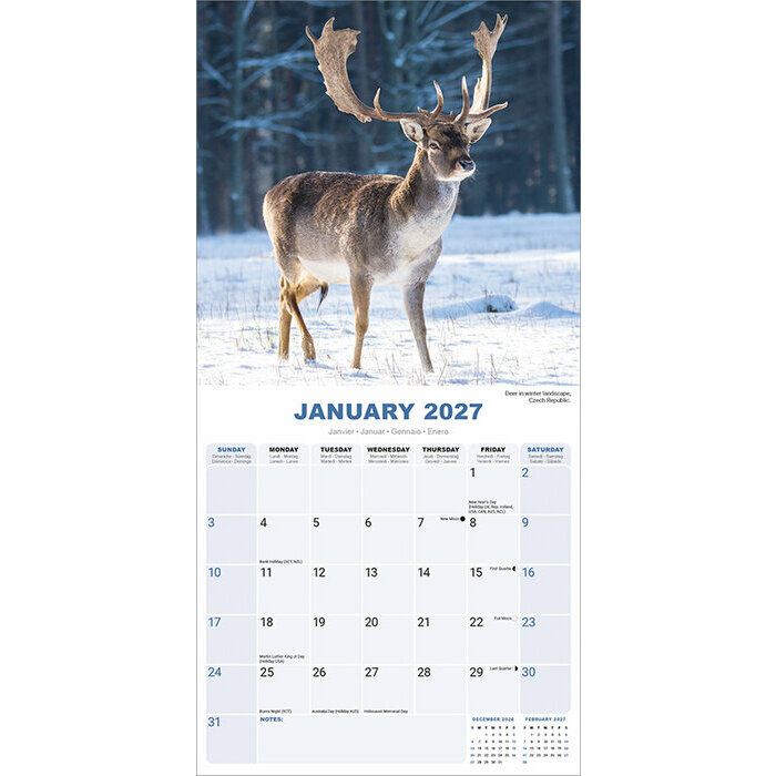 Calendrier 2027  Saison Et� Champ de Bl�