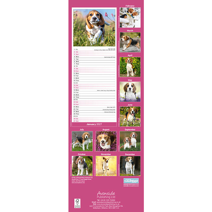 Calendrier Etroit Slim 2027 Beagle Calendrier Etroit 2027 Beagle