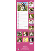 Calendrier Etroit Slim 2027 Beagle Calendrier Etroit 2027 Beagle