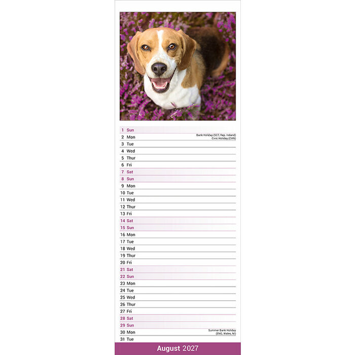 Calendrier Etroit Slim 2027 Beagle Calendrier papierEtroit 2027 Beagle