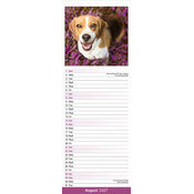Calendrier Etroit Slim 2027 Beagle Calendrier papierEtroit 2027 Beagle