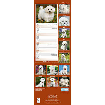 Calendrier Etroit Slim 2027 Bichon fris&eacute;
