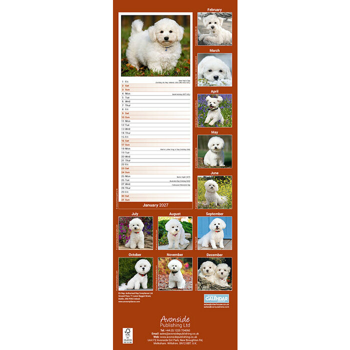Calendrier Etroit Slim 2027 Bichon frisé Calendrier Etroit Slim 2027 Bichon Frisé