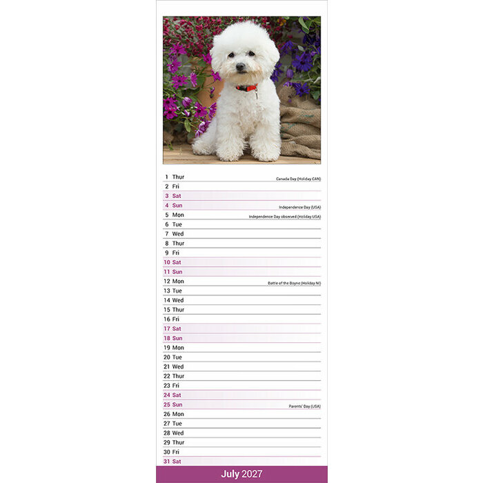 Calendrier Etroit Slim 2027 Bichon frisé Calendrier papier Etroit Slim 2027 Bichon Frisé