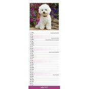 Calendrier Etroit Slim 2027 Bichon frisé Calendrier papier Etroit Slim 2027 Bichon Frisé