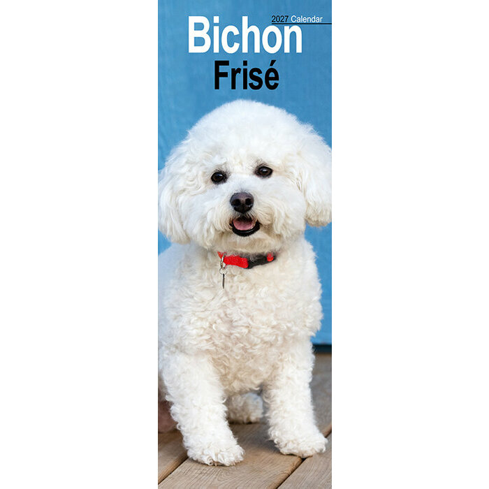 Calendrier Etroit Slim 2027 Bichon frisé Calendrier Mural Etroit Slim 2027 Bichon Frisé