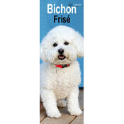 Calendrier Etroit Slim 2027 Bichon frisé Calendrier Mural Etroit Slim 2027 Bichon Frisé