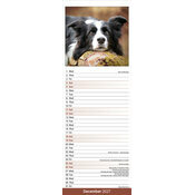 Calendrier Etroit Slim 2027 Border Collie Calendrier papier 2027 Border Collie