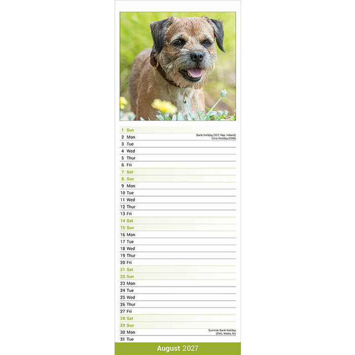 Calendrier Etroit Slim 2027 Border Terrier Calendrier papier Etroit 2027 Border Terrier