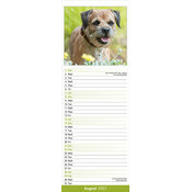 Calendrier Etroit Slim 2027 Border Terrier Calendrier papier Etroit 2027 Border Terrier