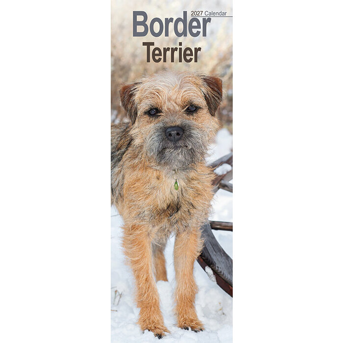 Calendrier Etroit Slim 2027 Border Terrier Calendrier Etroit 2027 Border Terrier
