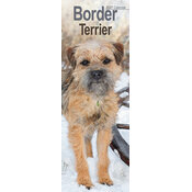 Calendrier Etroit Slim 2027 Border Terrier Calendrier Etroit 2027 Border Terrier
