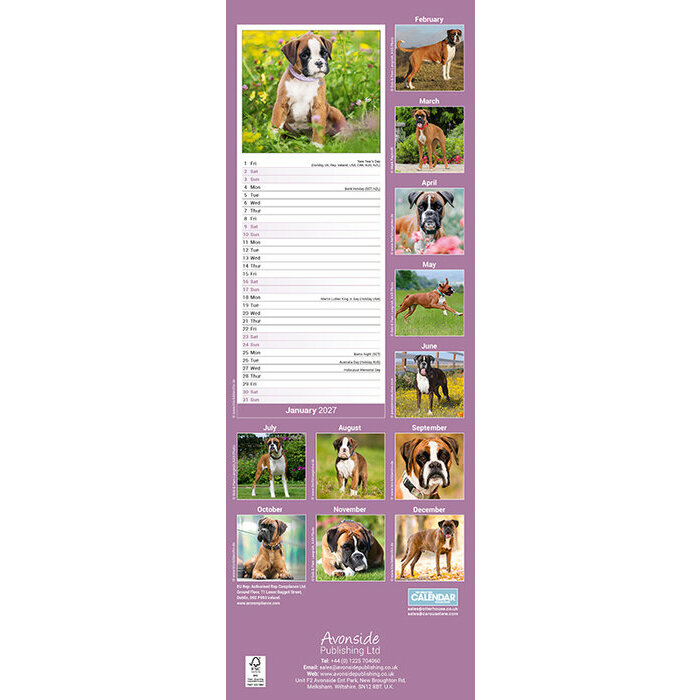 Calendrier Etroit Slim 2027 Boxer Calendrier mural Etroit 2027 Border Terrier