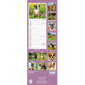 Calendrier Etroit Slim 2027 Boxer Calendrier mural Etroit 2027 Border Terrier
