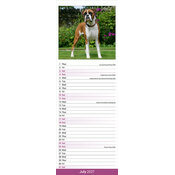 Calendrier Etroit Slim 2027 Boxer Calendrier papier Etroit 2027 Border Terrier
