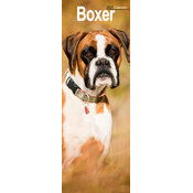 Calendrier Etroit Slim 2027 Boxer Calendrier Etroit 2027 Border Terrier