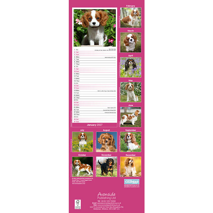 Calendrier Etroit Slim 2027 Cavalier King Charles Calendrier papier 2027 Etroit Cavalier King Charles
