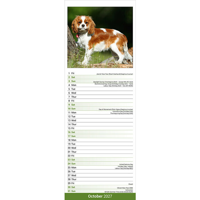 Calendrier Etroit Slim 2027 Cavalier King Charles Calendrier 2027 Etroit Cavalier King Charles
