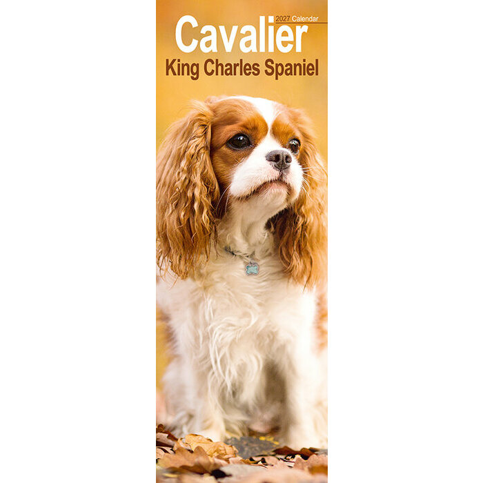 Calendrier Etroit Slim 2027 Cavalier King Charles Calendrier Mural 2027 Etroit Cavalier King Charles