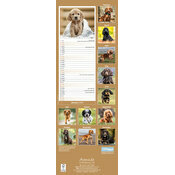 Calendrier Etroit Slim 2027 Cocker Anglais Calendrier Etroit 2027 Cocker Anglais Fauve