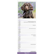 Calendrier Etroit Slim 2027 Cocker Anglais Calendrier Etroit 2027 Cocker Anglais papier