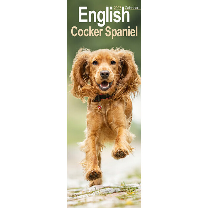 Calendrier Etroit Slim 2027 Cocker Anglais Calendrier Etroit 2027 Cocker Anglais
