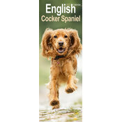 Calendrier Etroit Slim 2027 Cocker Anglais Calendrier Etroit 2027 Cocker Anglais