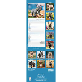 Calendrier Etroit Slim 2027 Bouledogue Fran&ccedil;ais