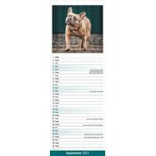 Calendrier Etroit Slim 2027 Bouledogue Français Calendrier Mural 2027 Bouledogue Français