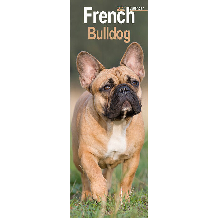 Calendrier Etroit Slim 2027 Bouledogue Français Calendrier Mural Etroit 2027 Bouledogue Français