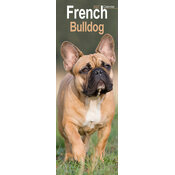 Calendrier Etroit Slim 2027 Bouledogue Français Calendrier Mural Etroit 2027 Bouledogue Français