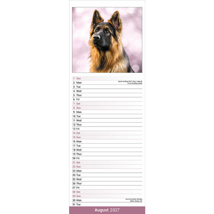 Calendrier papier 2027 Berger Allemand