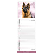 Calendrier papier 2027 Berger Allemand