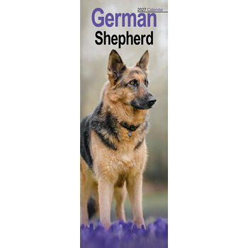 Calendrier Etroit Slim 2027 Berger Allemand