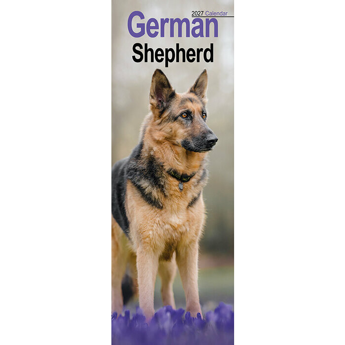 Calendrier Mural 2027 Berger Allemand
