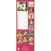 Calendrier Etroit Slim 2027 Golden Retriever Calendrier papier 2027 Golden Slim