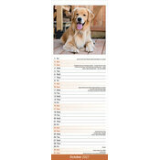Calendrier Etroit Slim 2027 Golden Retriever Calendrier Mural 2027 Golden