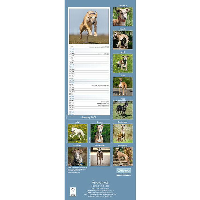 Calendrier Etroit Slim 2027 Greyhound Calendrier papier 2027 Greyhound